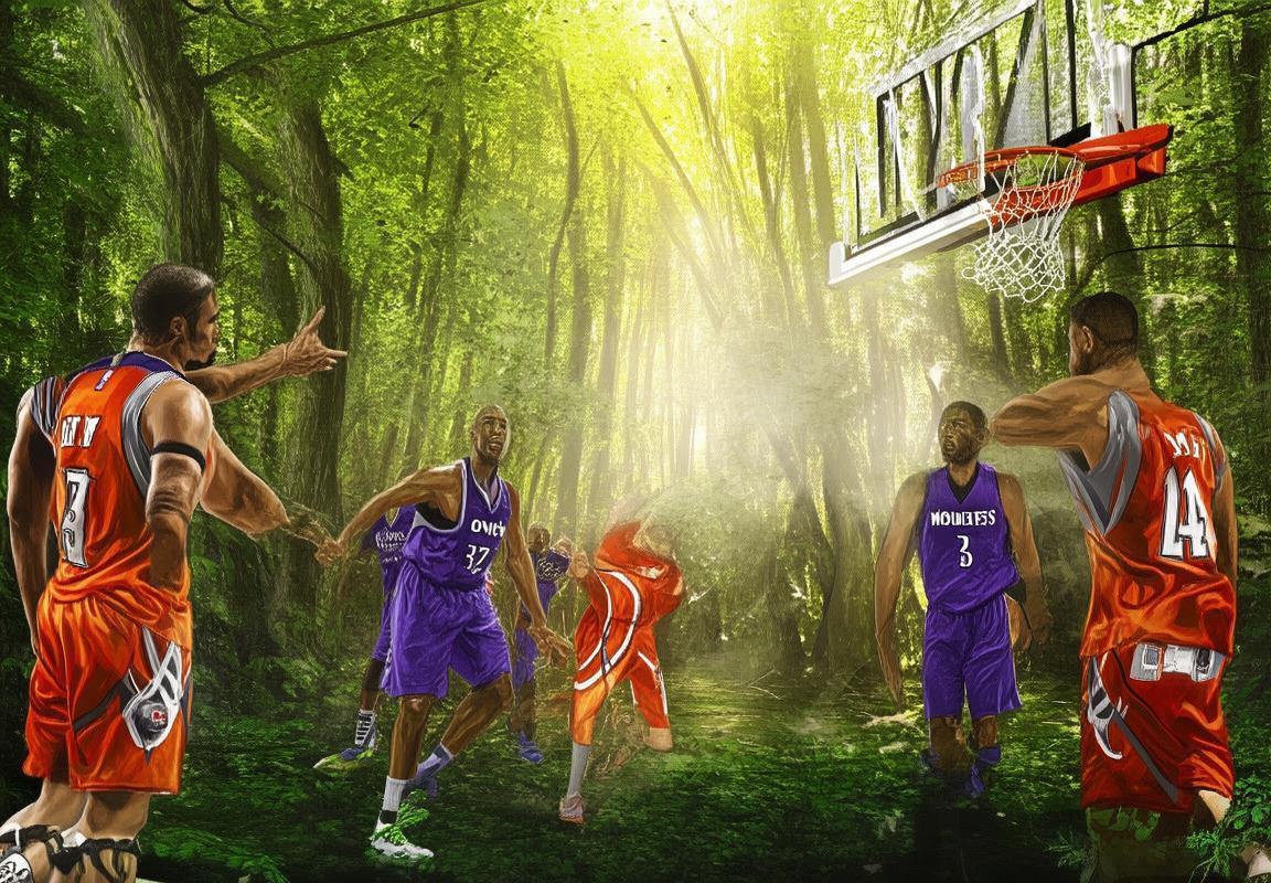 2016年NBA巅峰对决：森林狼VS火箭精彩回顾(图2)