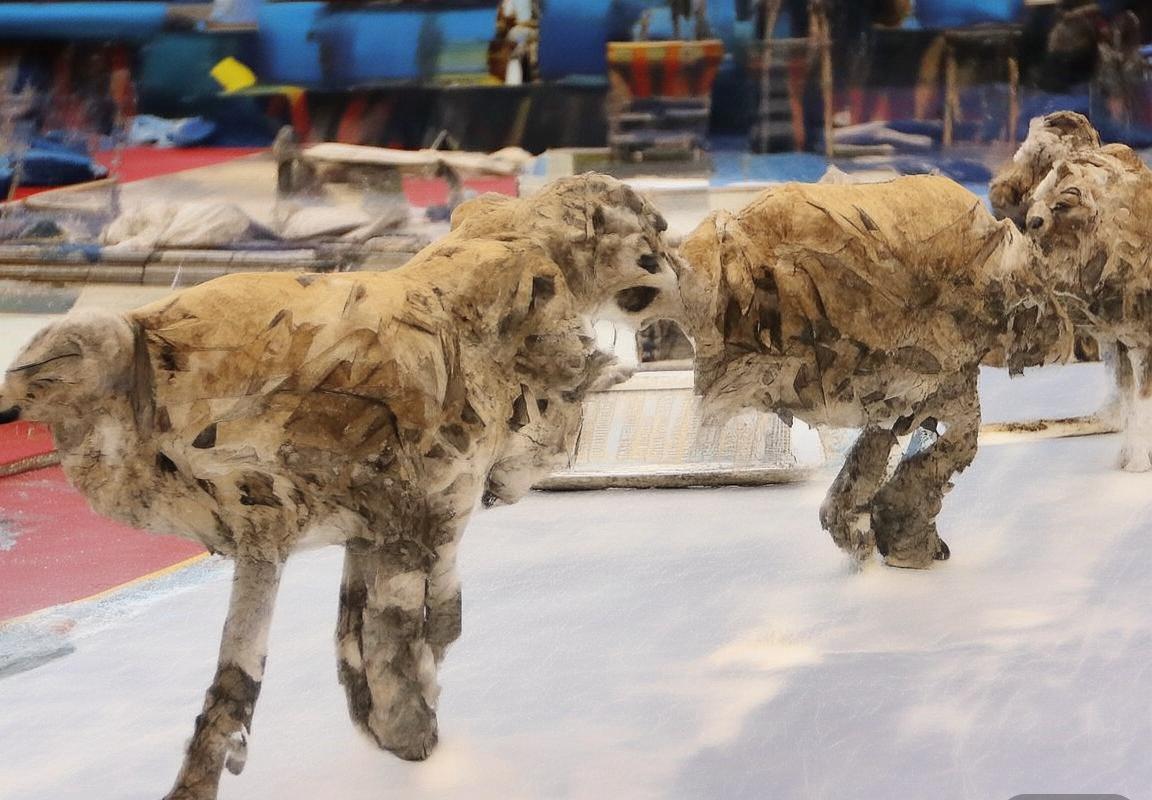 网络冲突视频：法理道德与社会影响剖析(图3)